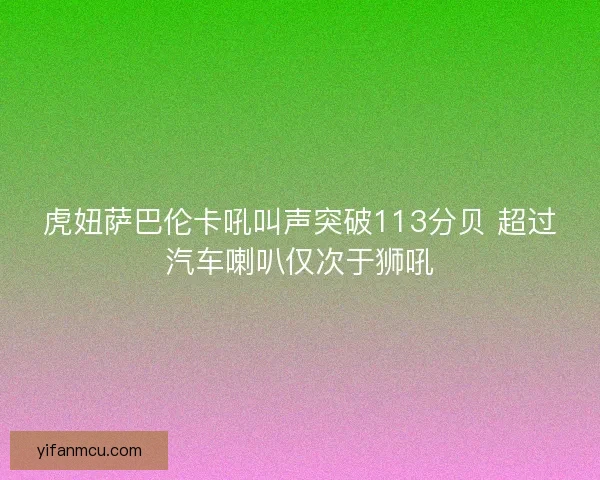 虎妞萨巴伦卡吼叫声突破113分贝 超过汽车喇叭仅次于狮吼
