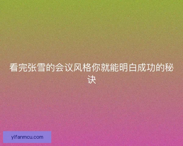 看完张雪的会议风格你就能明白成功的秘诀